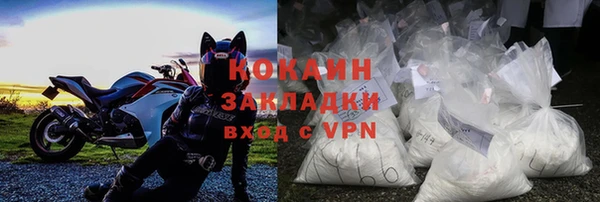хмурый Алзамай