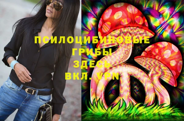 spice Алексеевка