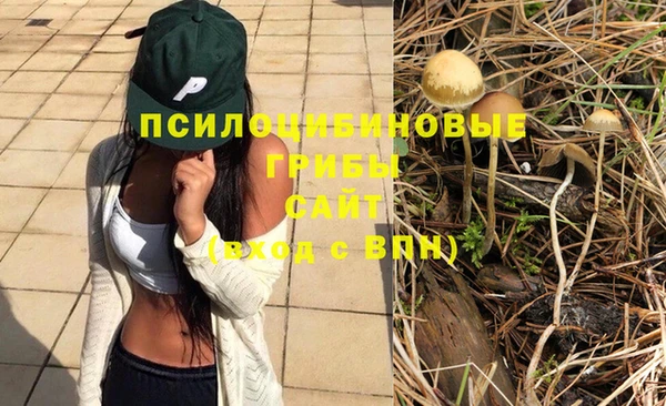хмурый Алзамай