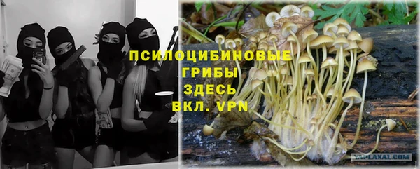 spice Алексеевка
