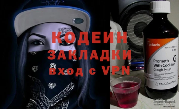 хмурый Алзамай