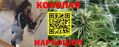 тгк Славгород