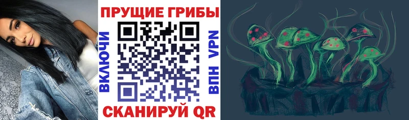 Галлюциногенные грибы прущие грибы  блэк спрут как войти  Старая Русса 