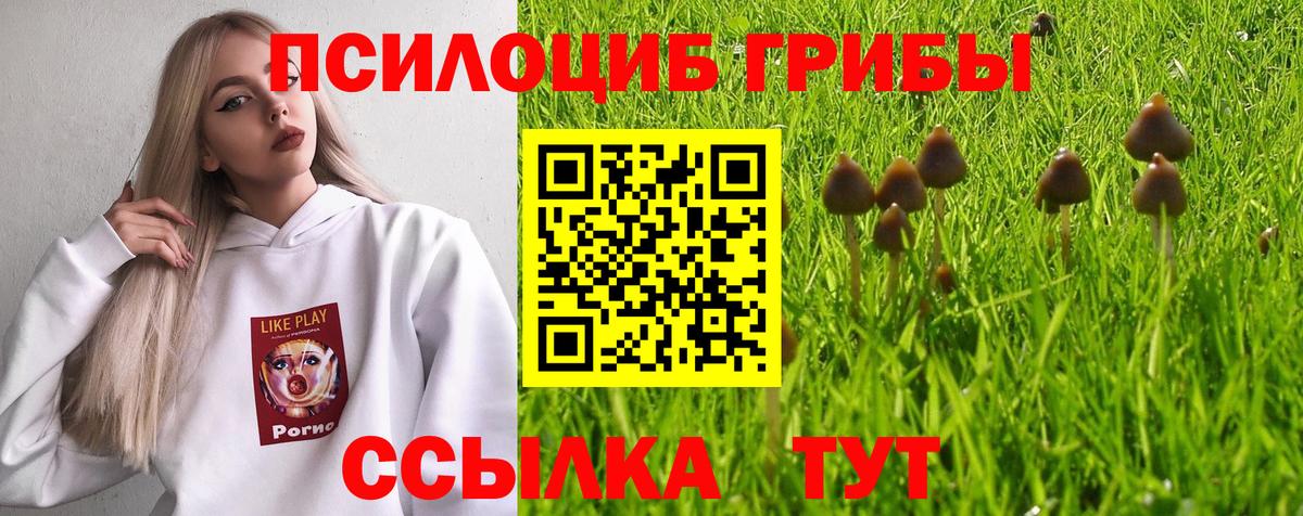Псилоцибиновые грибы ЛСД  Вход с VPN  Галлюциногенные грибы прущие грибы  Старая Русса 