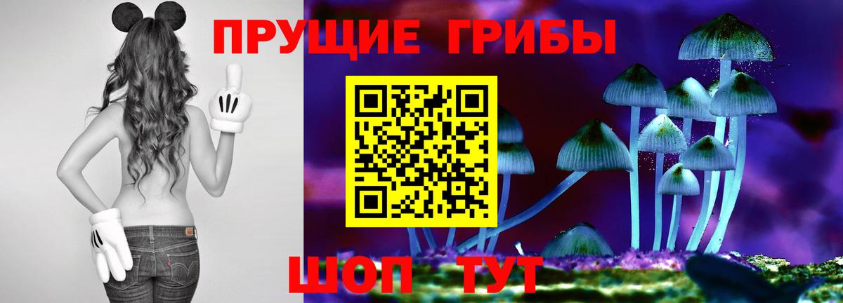 Галлюциногенные грибы Psilocybine cubensis Старая Русса