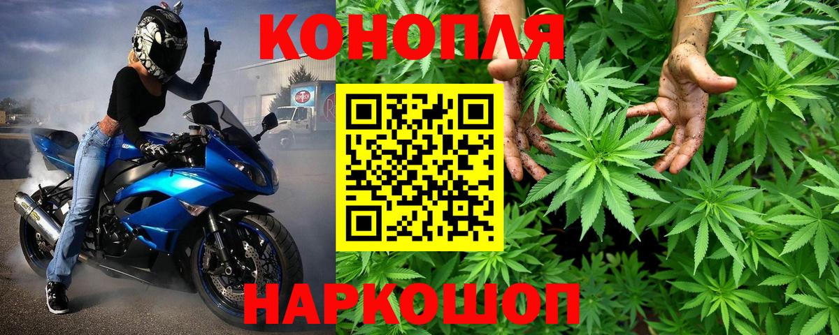 Бошки марихуана White Widow Старая Русса